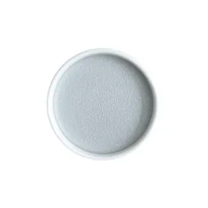 compact Silver Japanese Watercolour