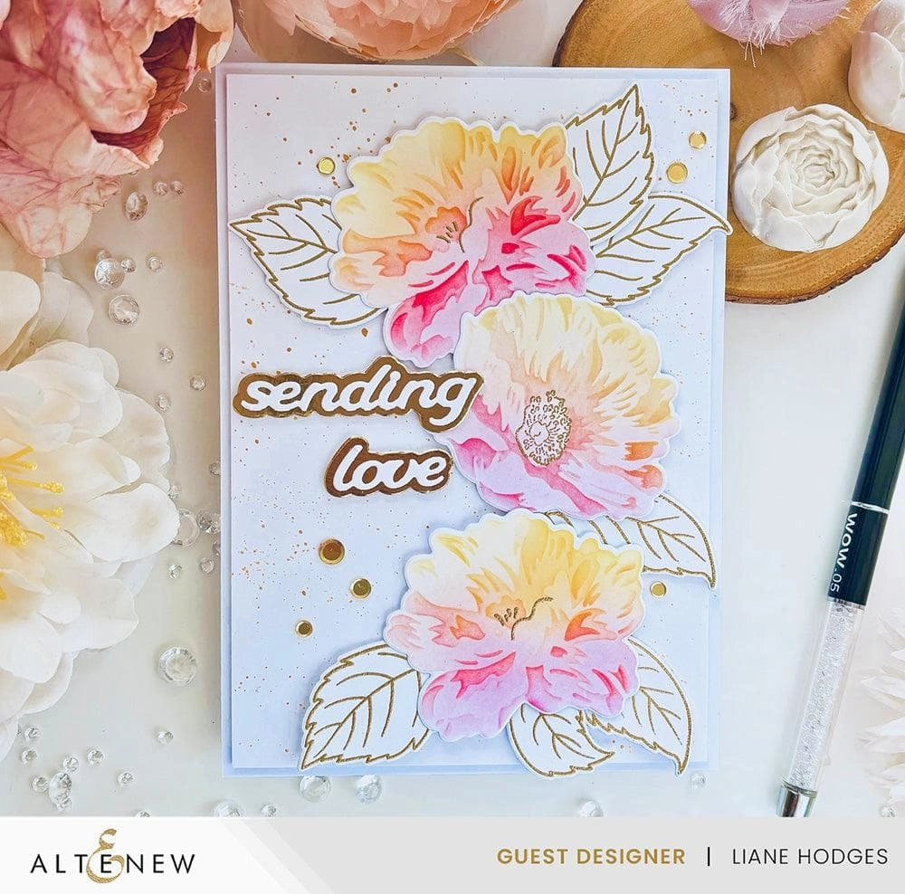 classic special Dynamic Duo: Watercolor Dreams Add-On Die Set
