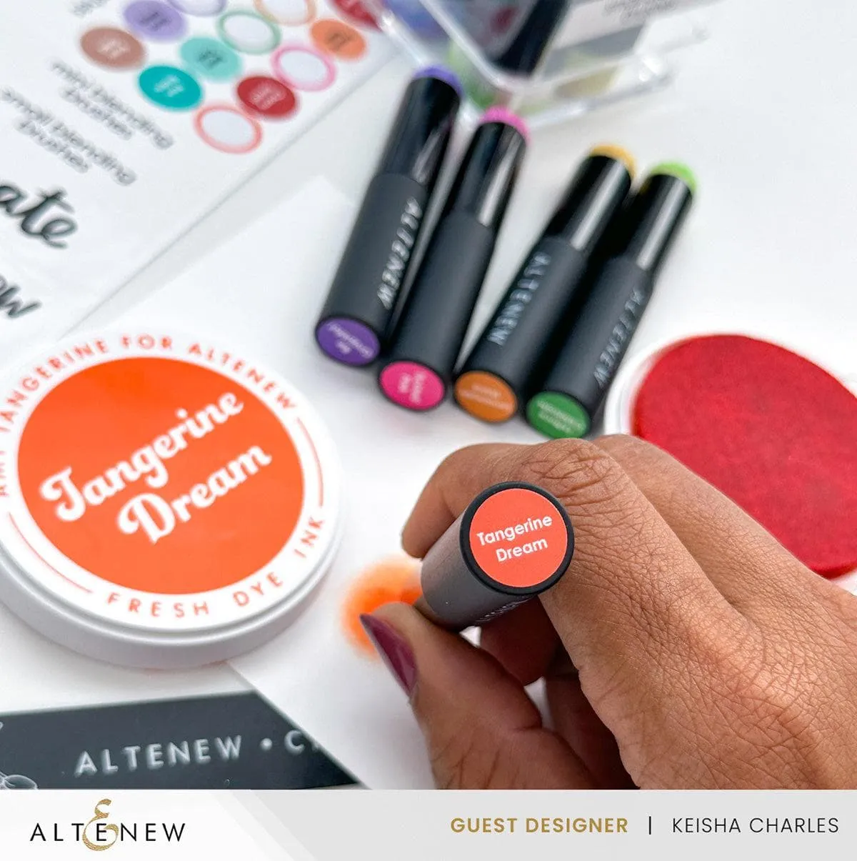 Small & Mini Blending Brushes Label Set - 2023 Amy Tangerine Collection ergonomic