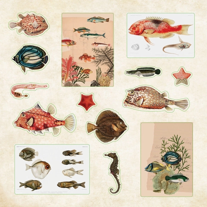 Poseidon'S Kingdom Sticker Book (700  Stickers) metal