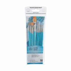 10-Pack Gold Taklon Brushes - Flat/Round premium strong