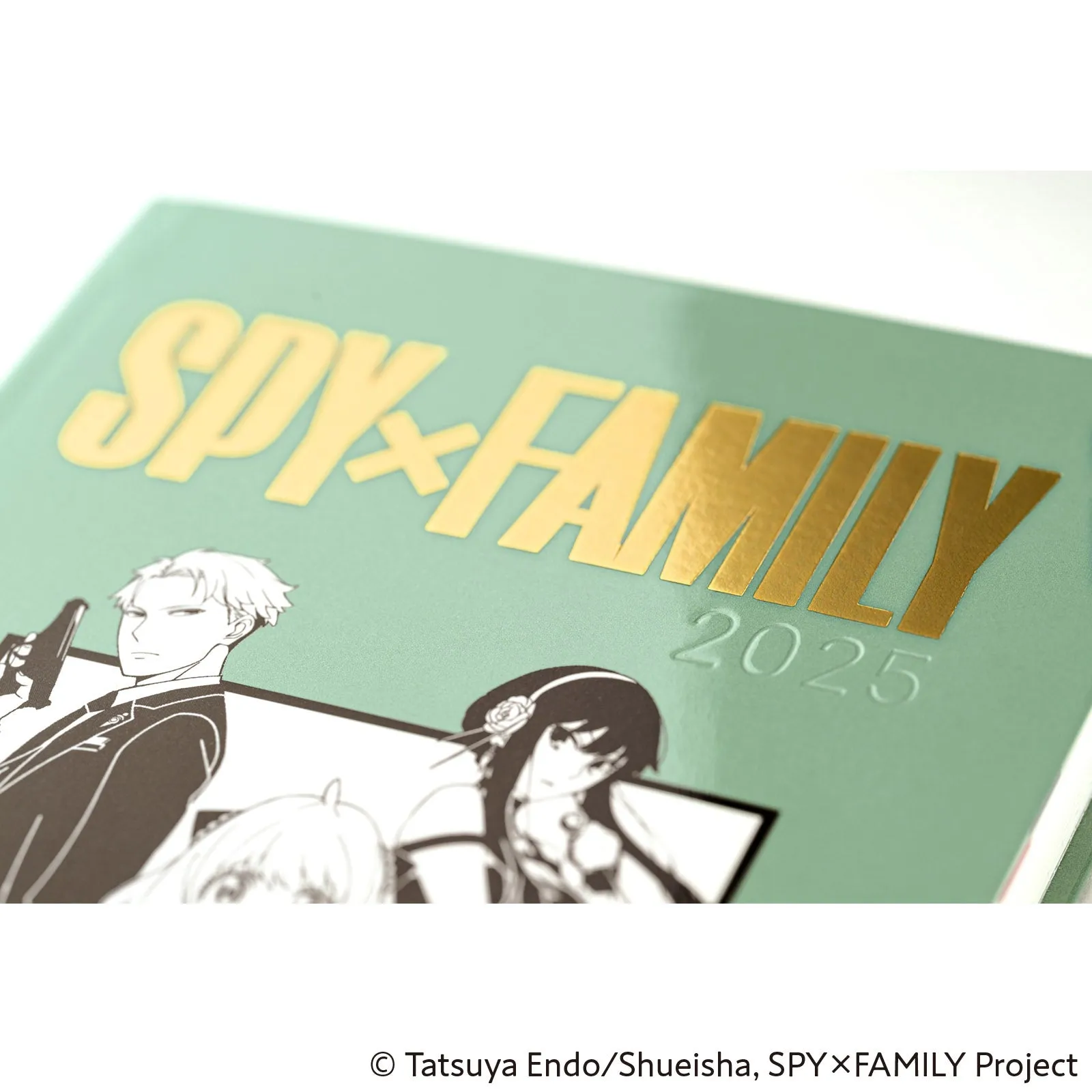 Spy X Family Forger Family Hon A6 Size cotton resin