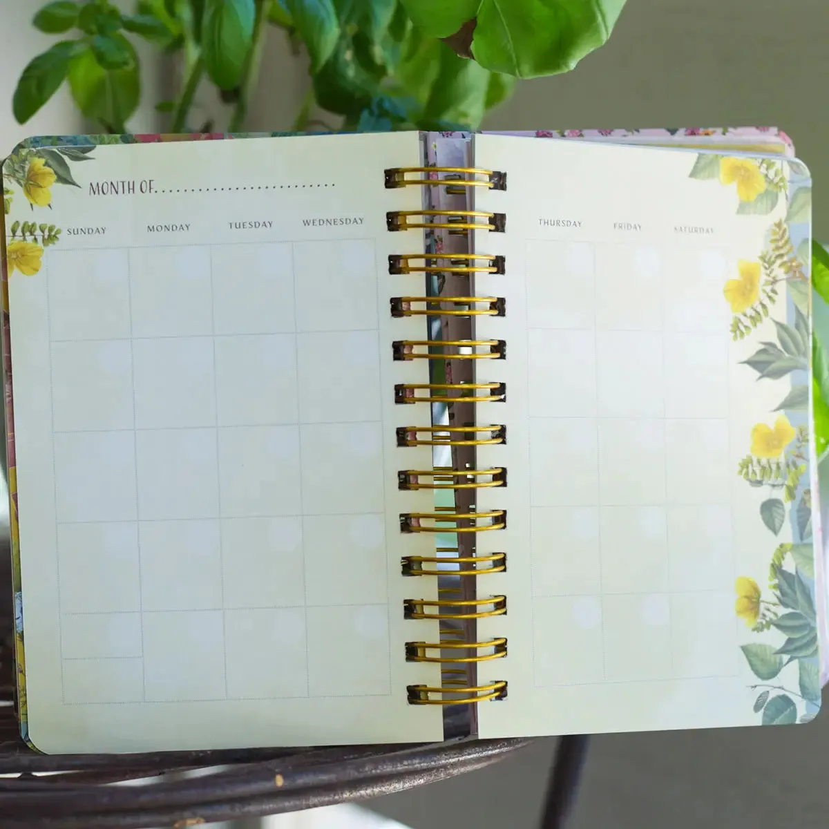 Full Of Wonder Undated Planner everyday