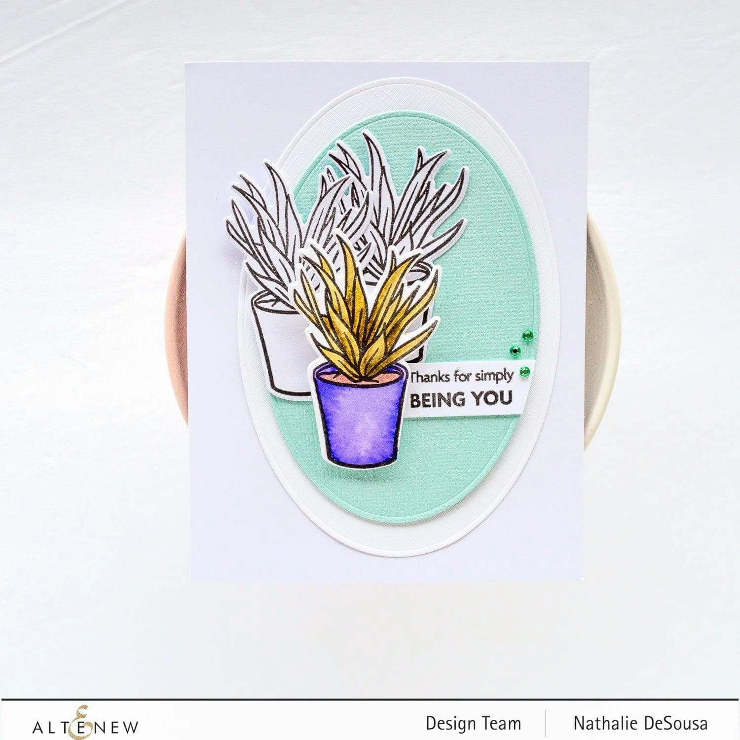 Potted Succulent Die Set alloy
