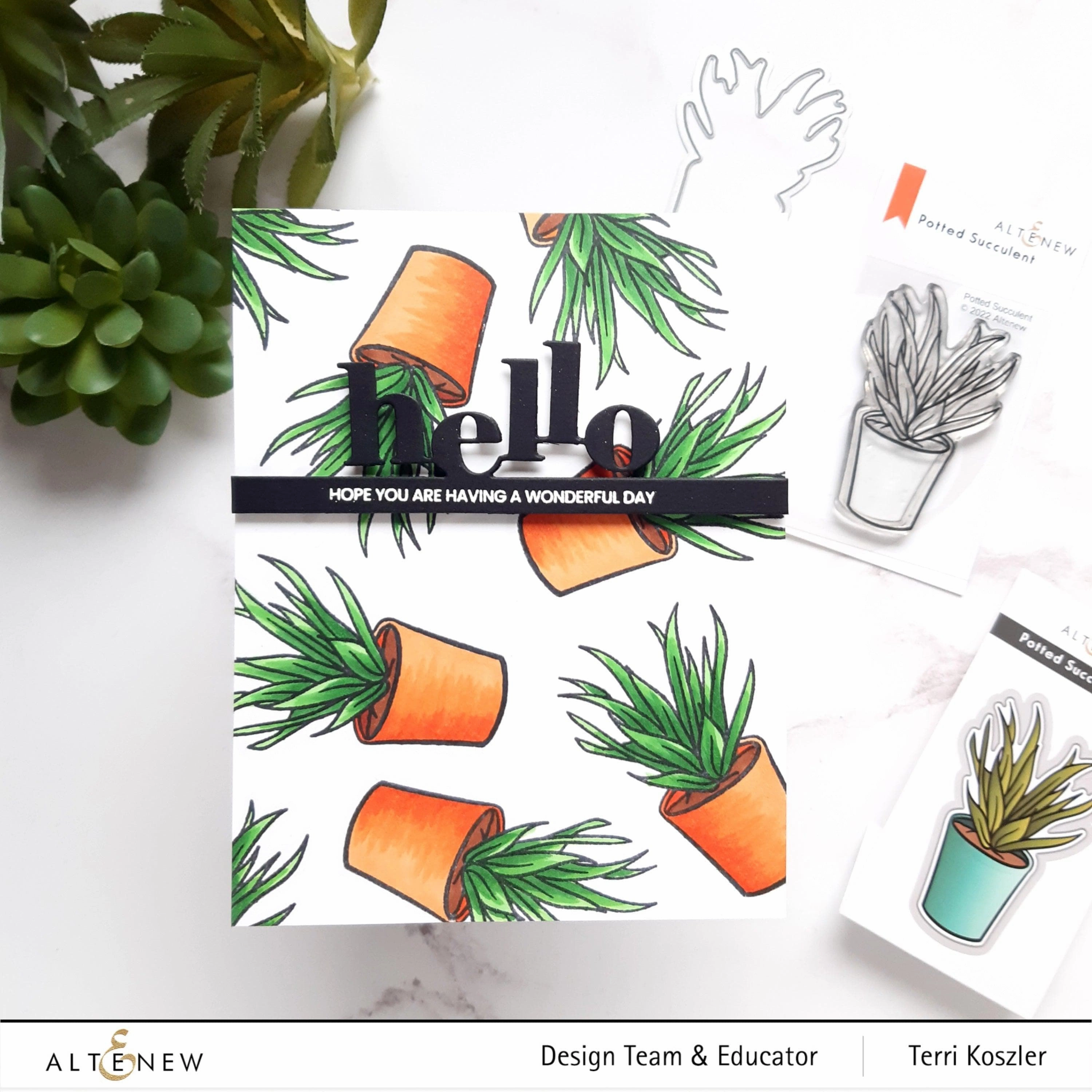 economical Potted Succulent Die Set
