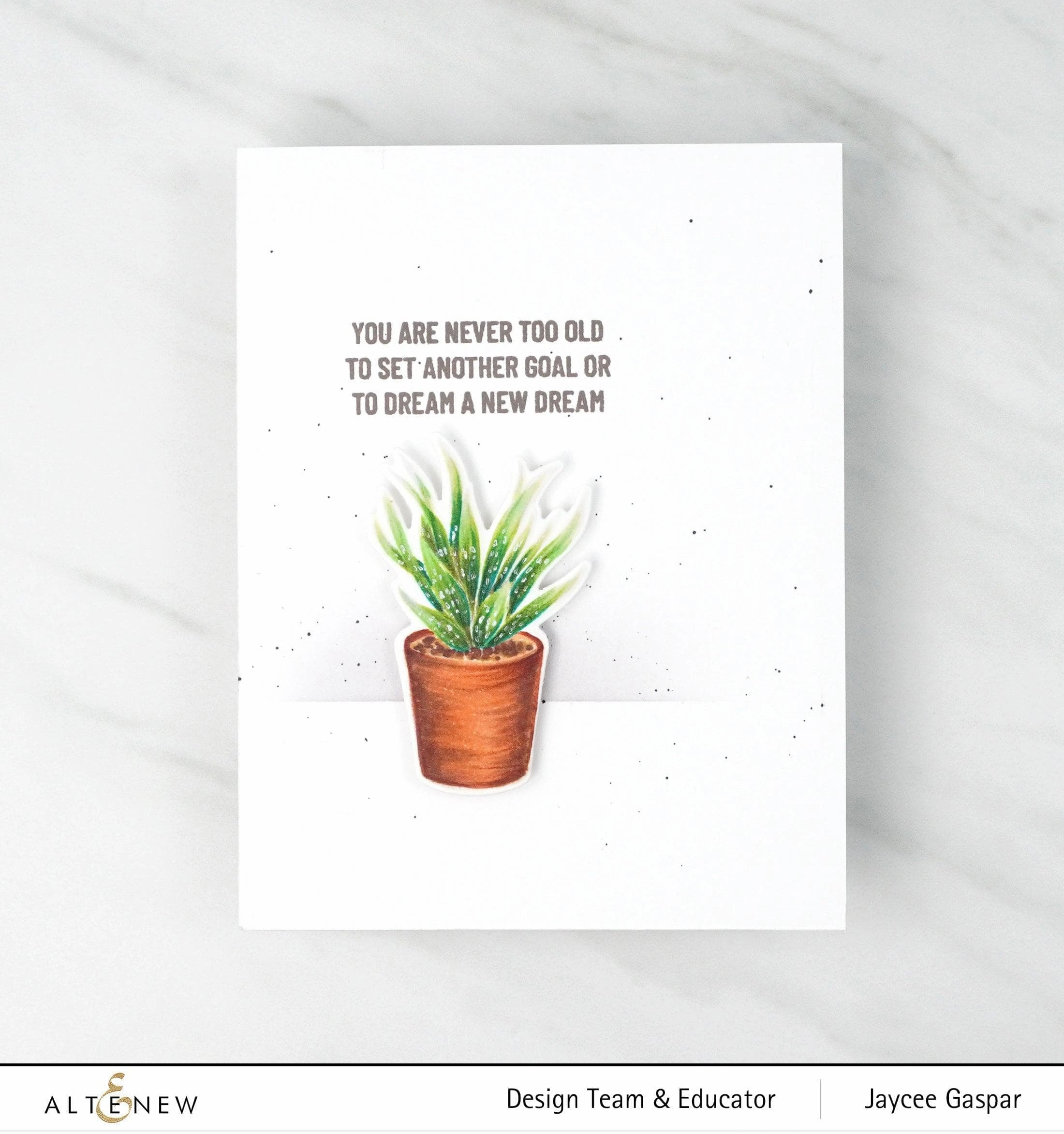 organic Potted Succulent Die Set