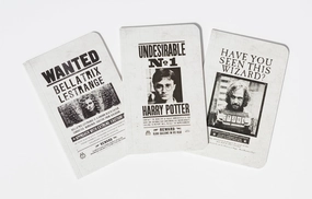 exclusive Harry Potter: Wanted Posters Pocket Notebook Collection (Set Of 3)