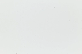 Starch Rain Envelope (Speckletone) bundle biodegradable