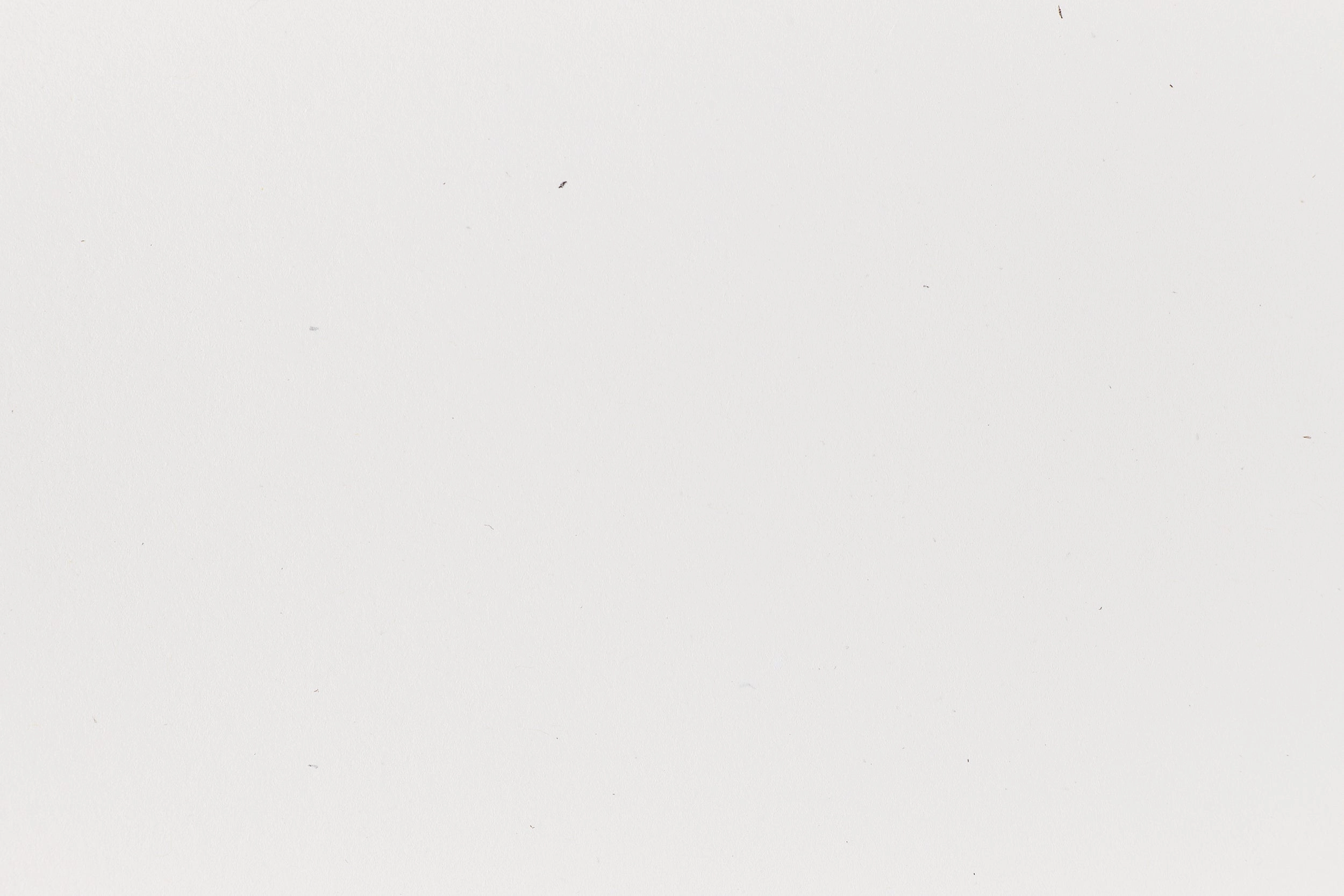Starch White Envelope (Speckletone) musthave
