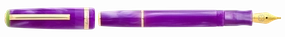 versatile Esterbrook Jr Paradise Key West Purple Passion Fountain Pen