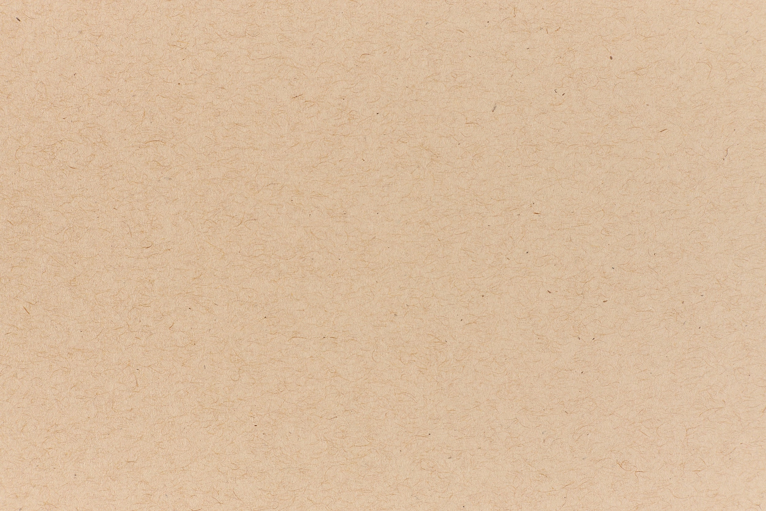 Oatmeal Cardstock (Speckletone, Cover Weight) muted elegant