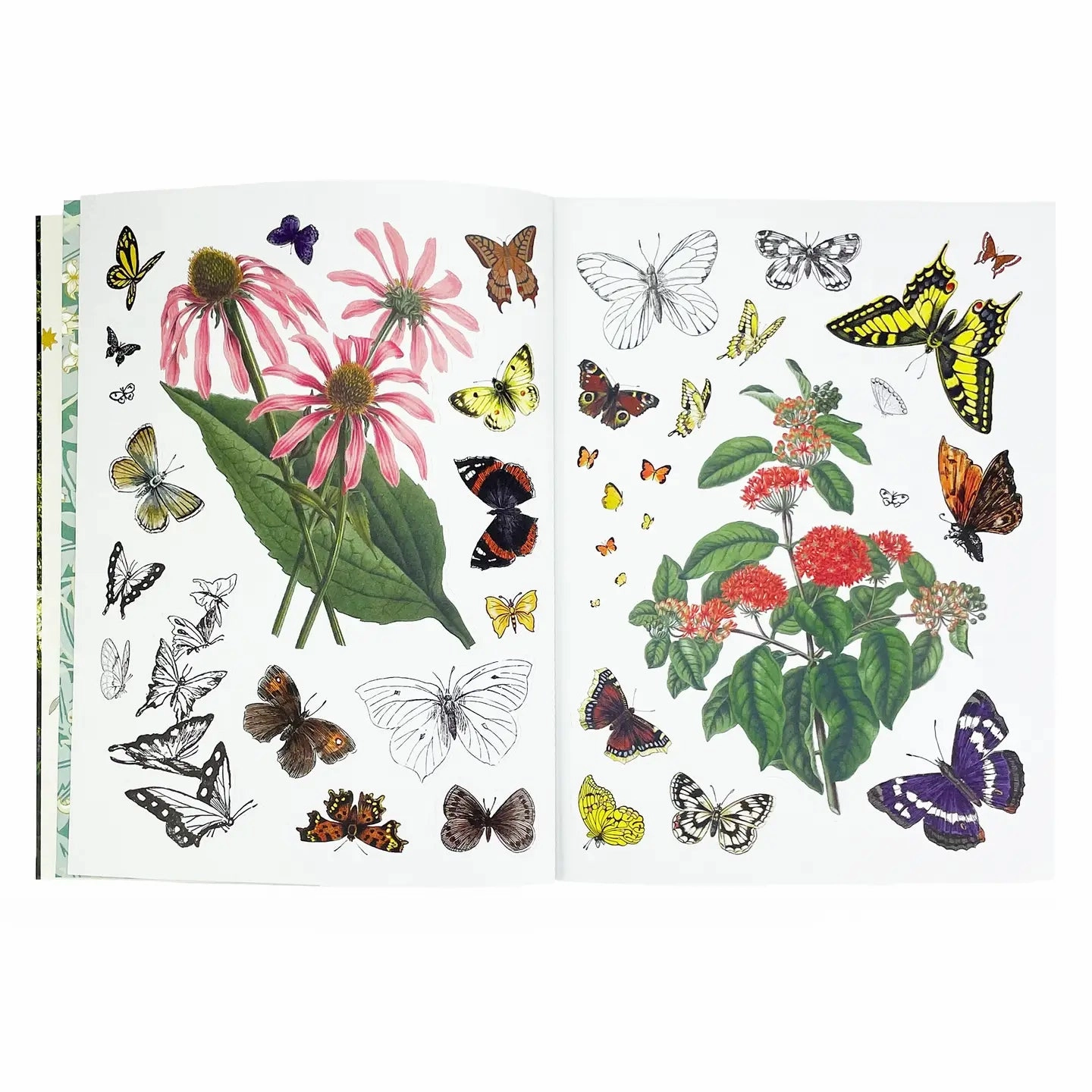 square Sticker Emporium: Woodlandia Sticker Book