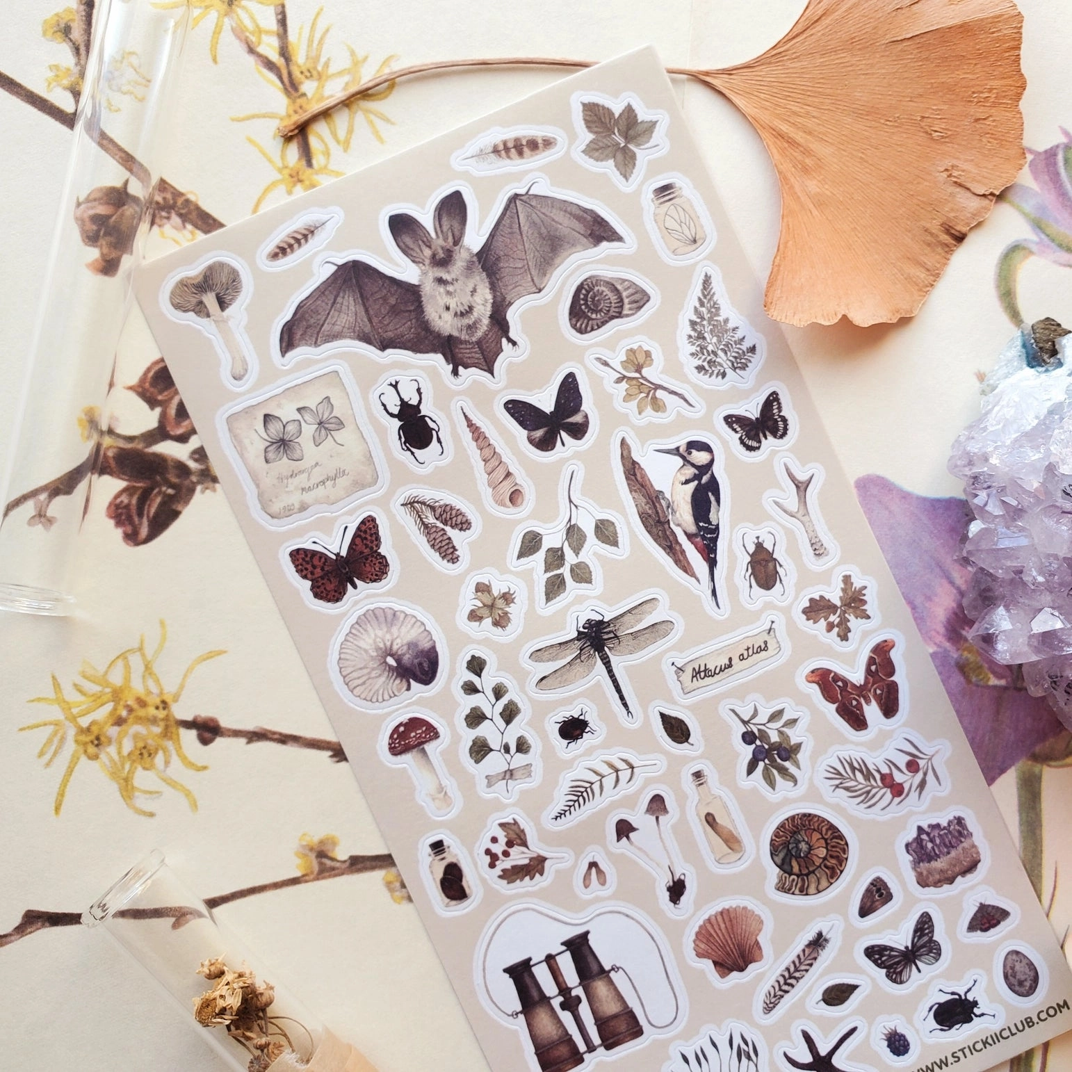 strong professional Stickii The Naturalist Sticker Sheet