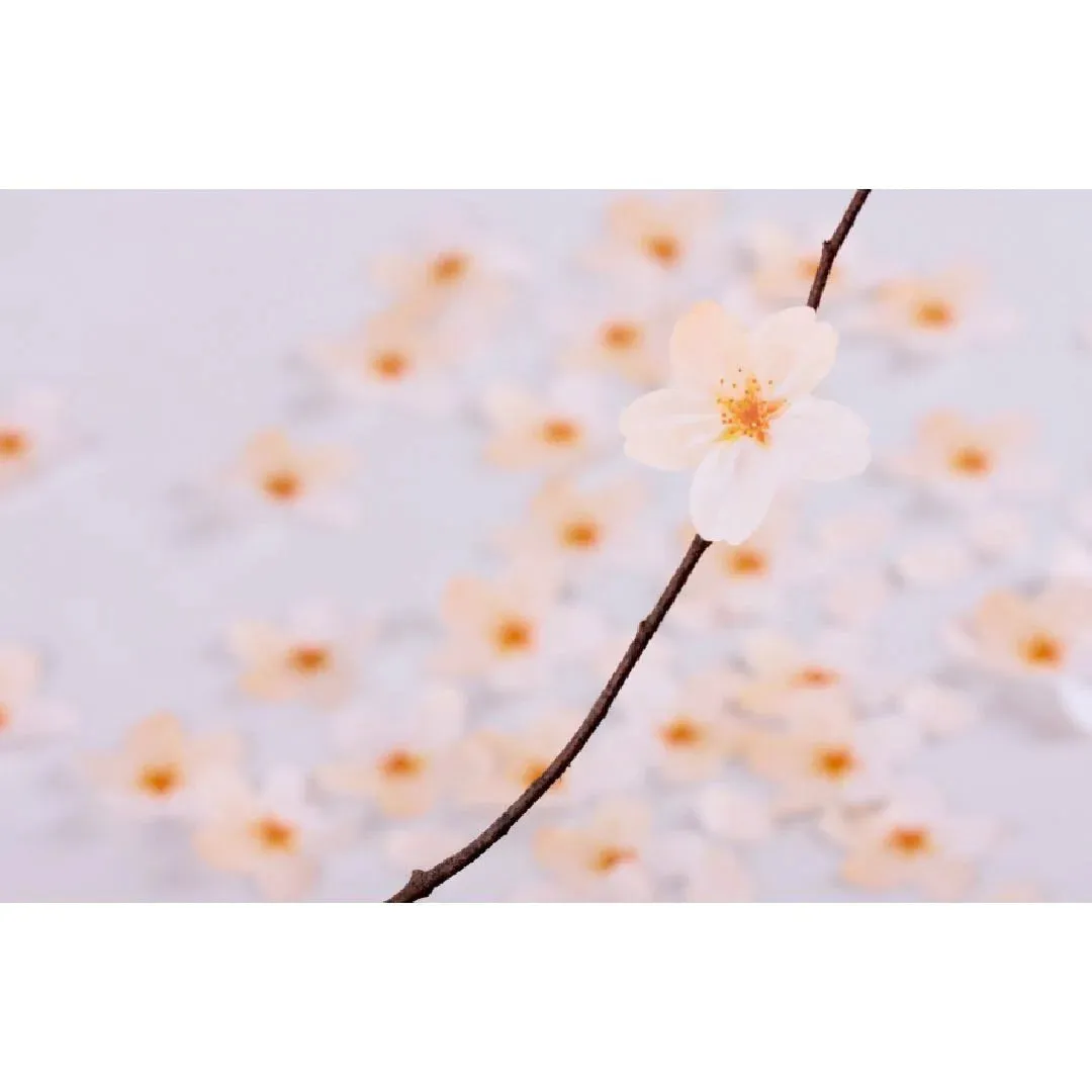 lightweight Sticky Leaf - Cherry Blossom | Small
