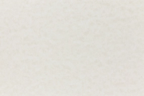 Storm Cardstock (Parchtone, Cover Weight) professional