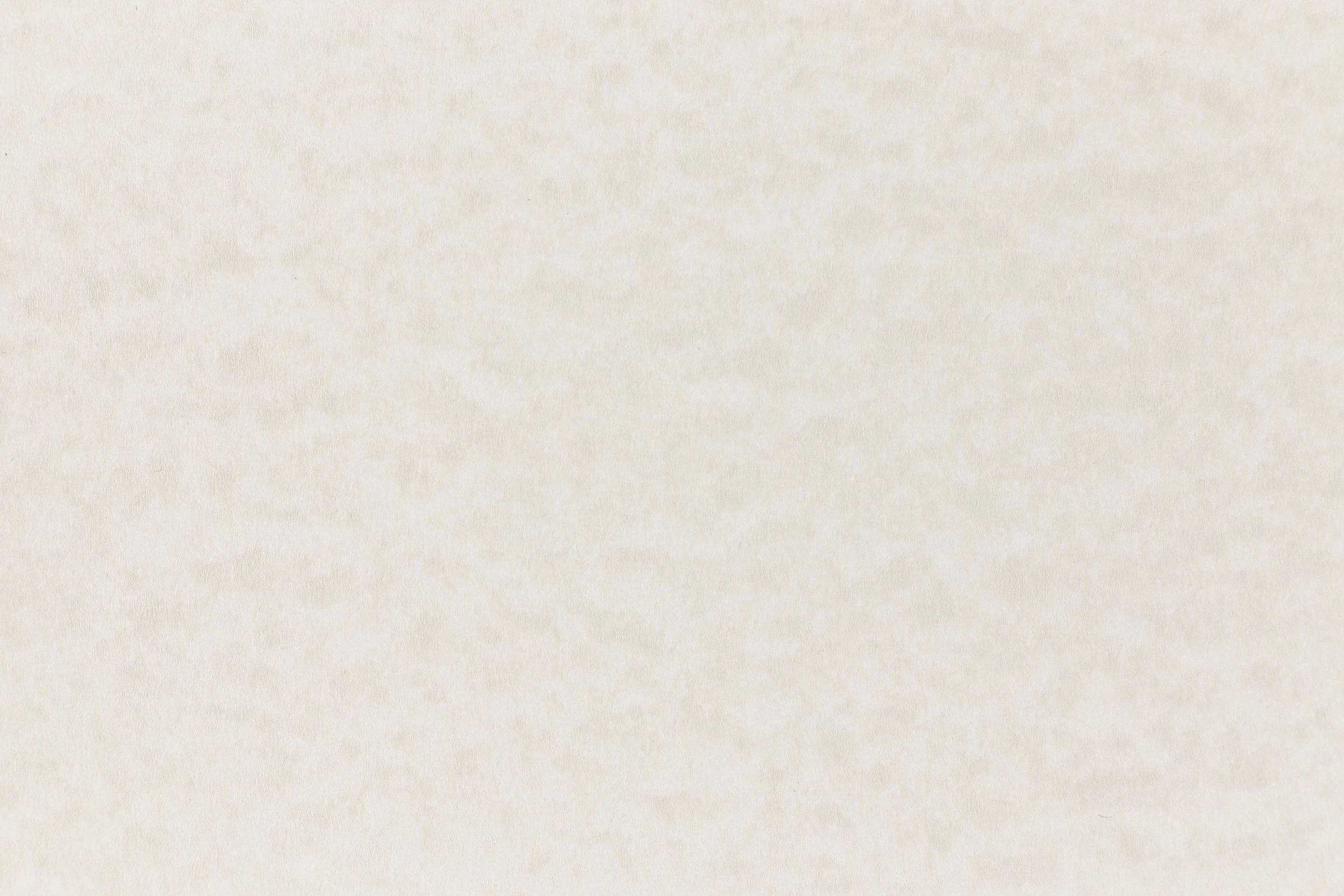 Storm Cardstock (Parchtone, Cover Weight) professional
