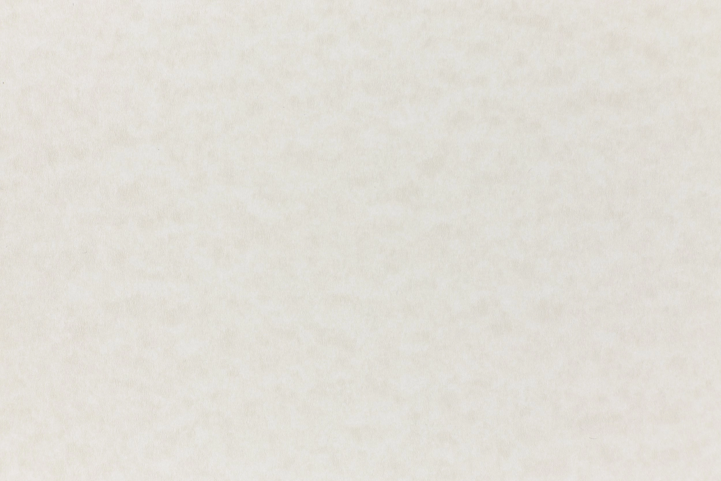 durable Storm Envelope (Parchtone)