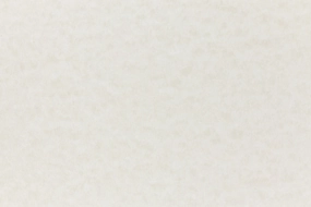 durable Storm Envelope (Parchtone)