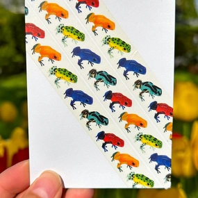 Strawberry Poison Frogs Washi Tape vintage
