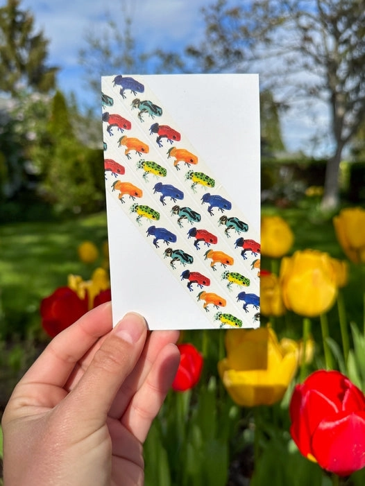 trusted Strawberry Poison Frogs Washi Tape