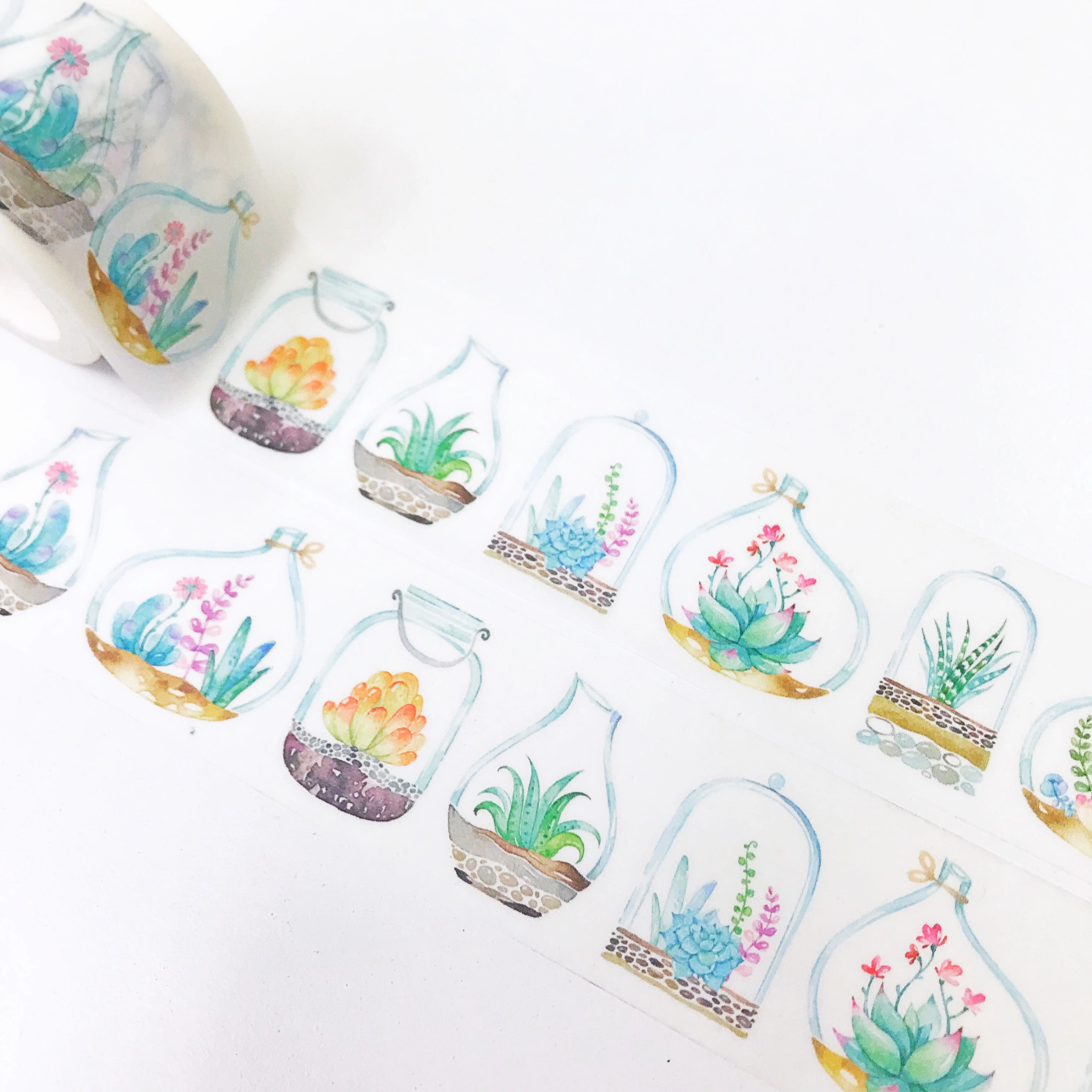 Succulents Washi Tape small loose