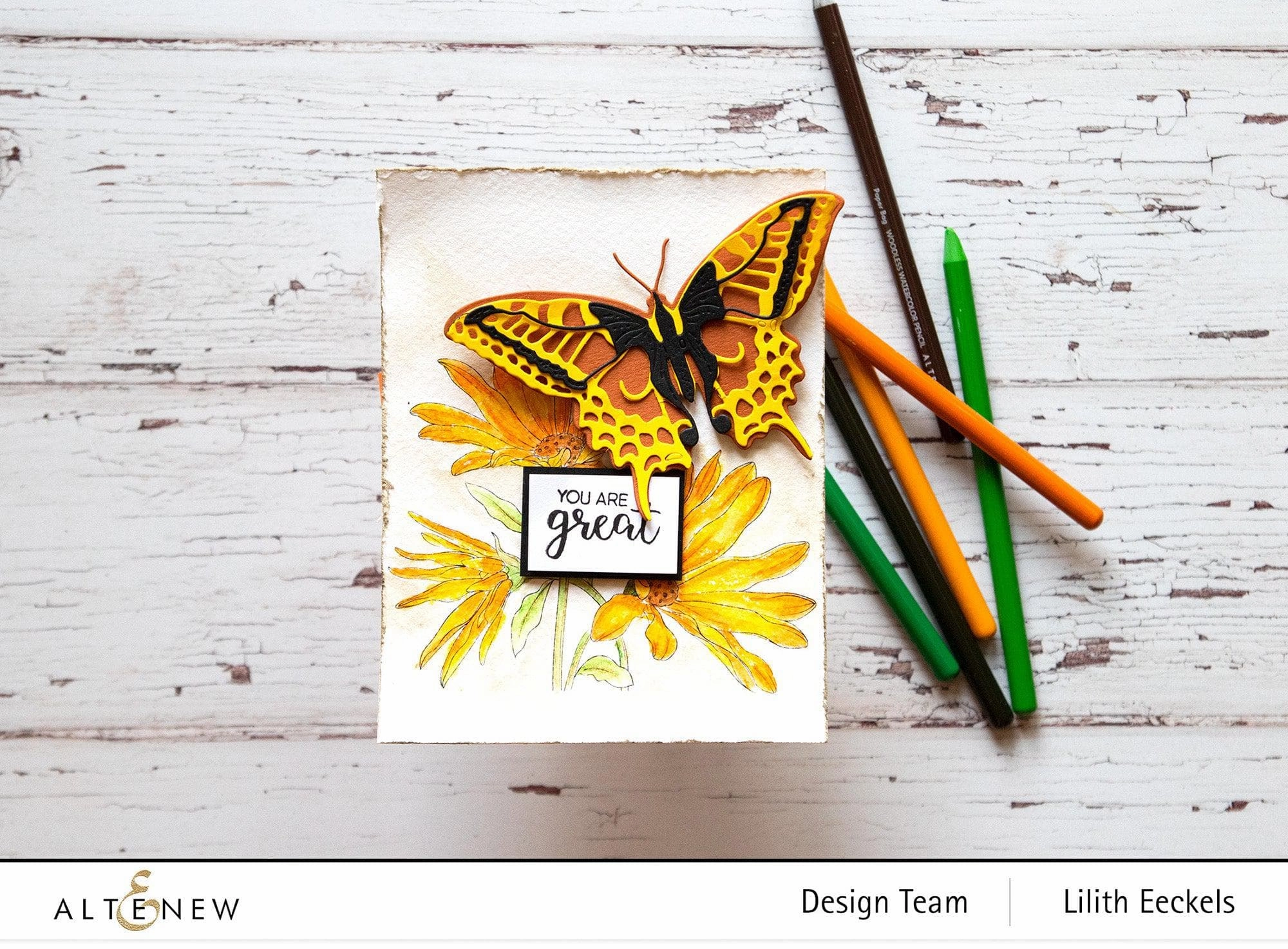 resilient bold Swallowtail Butterfly Die Set