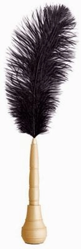 neutral Taccia Shakespearean Black Gold Quill Pen