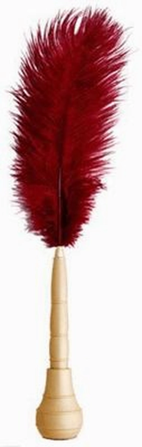Taccia Shakespearean Red Gold Quill Pen waterproof rugged
