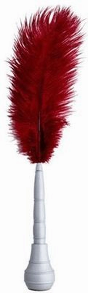 automatic bright Taccia Shakespearean Red Silver Quill Pen
