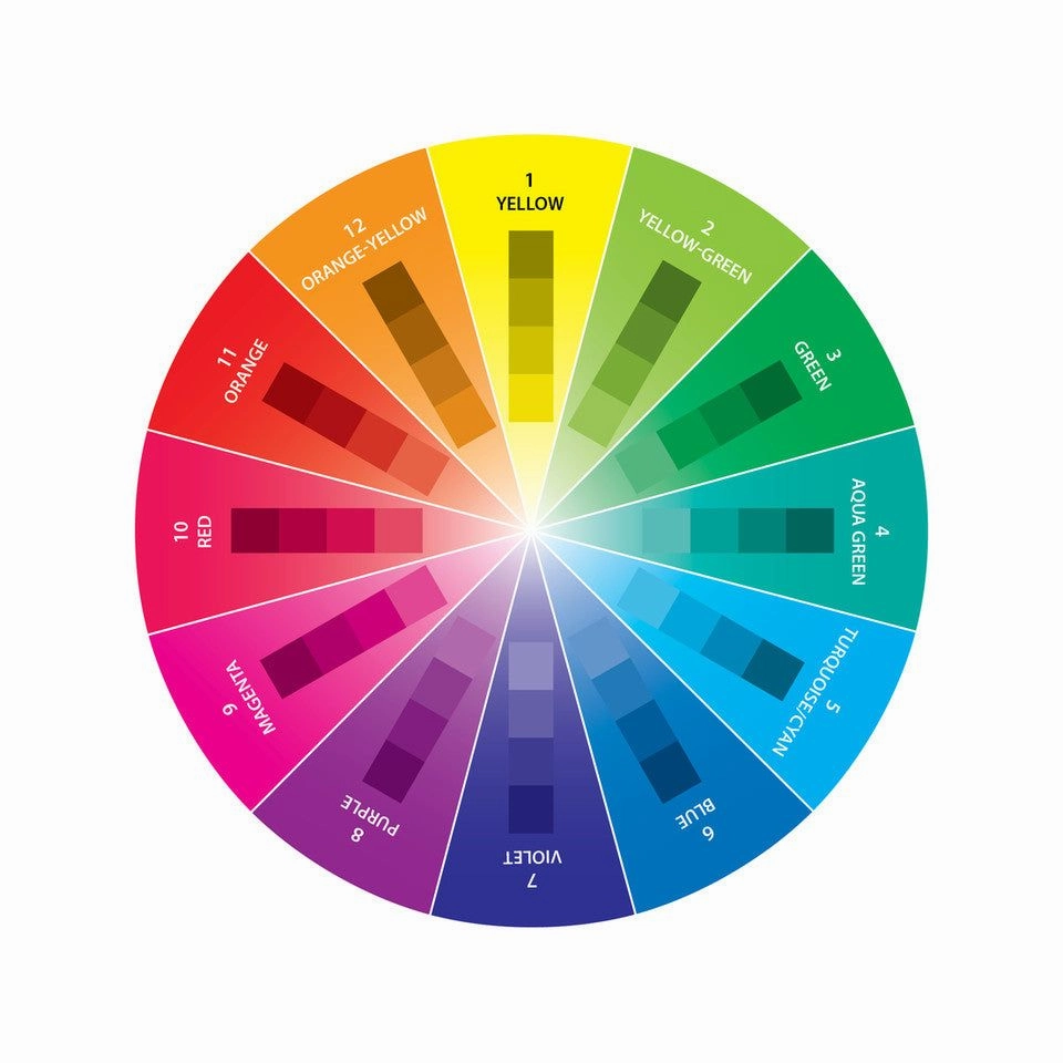 Take-Along Mini Color Wheel modern