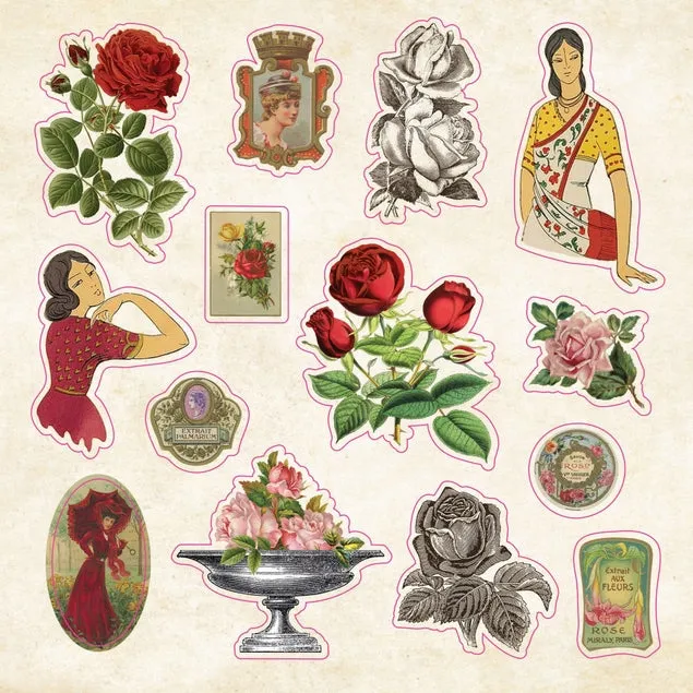 steel The Sticker Book Of Curiosities