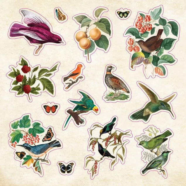 vegan pack The Sticker Book Of Curiosities
