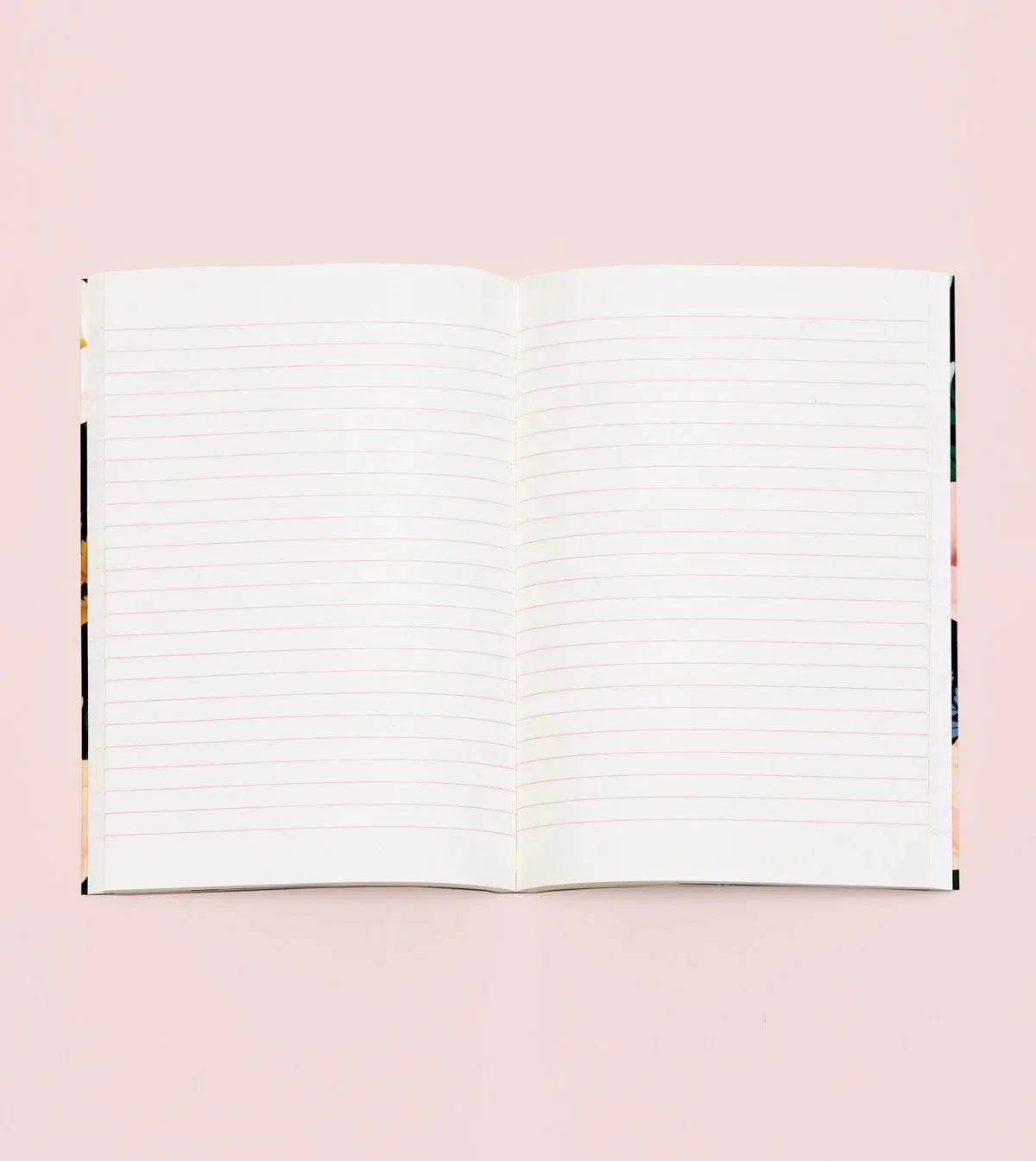 multipack Clap Clap Wild Animals Notebook In Cream - Lined
