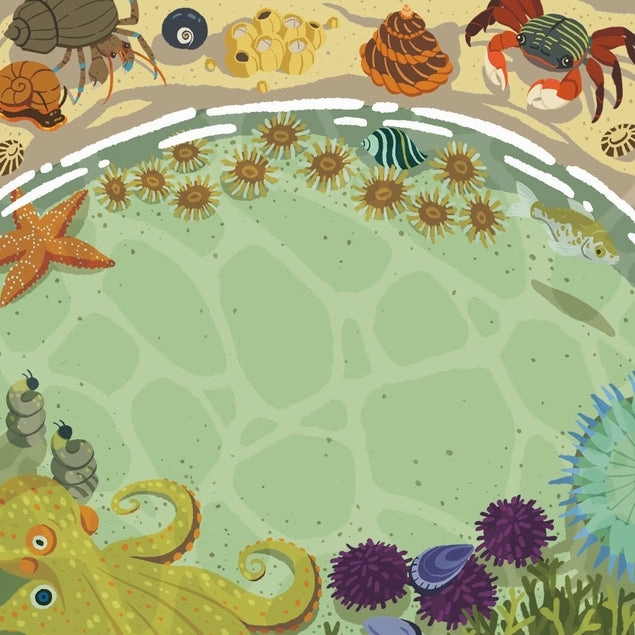 glass Tide Pools Memo Pad