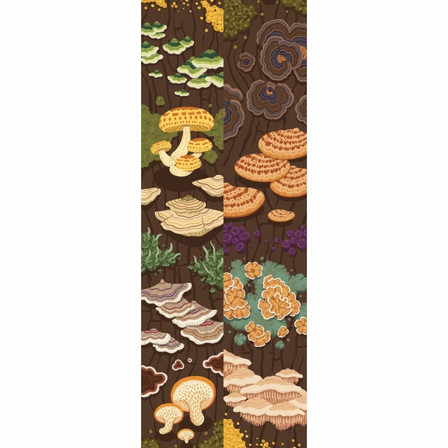 Tree Fungi Washi Tape mini