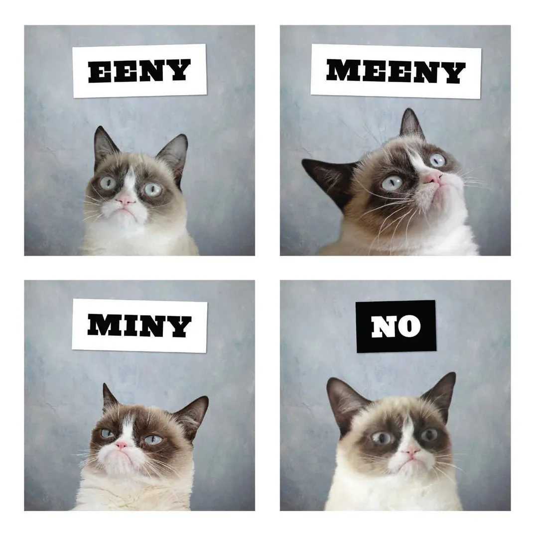 short Grumpy Cat 2026 Wall Calendar