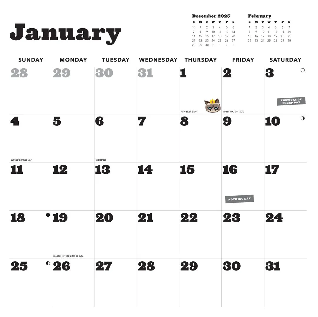 Grumpy Cat 2026 Wall Calendar latest fiber
