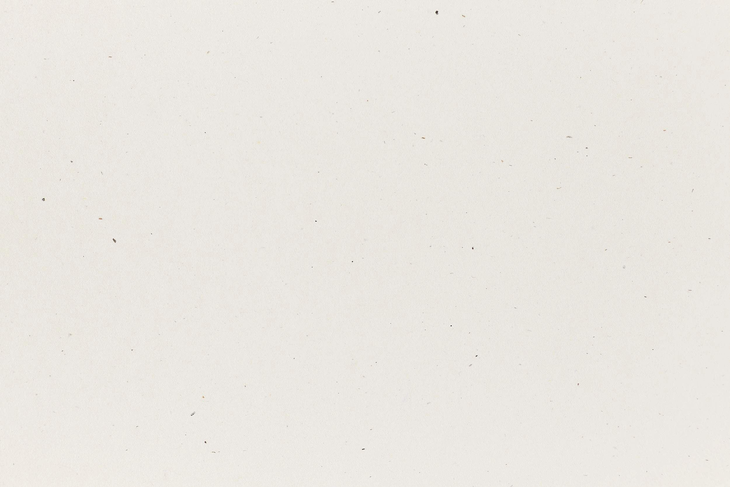 Madero Beach Cardstock (Speckletone, Cover Weight Carrie X French Giveaway Edition) solid