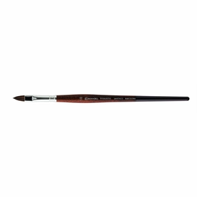 daily robust Verstil Paintbrush - Filbert