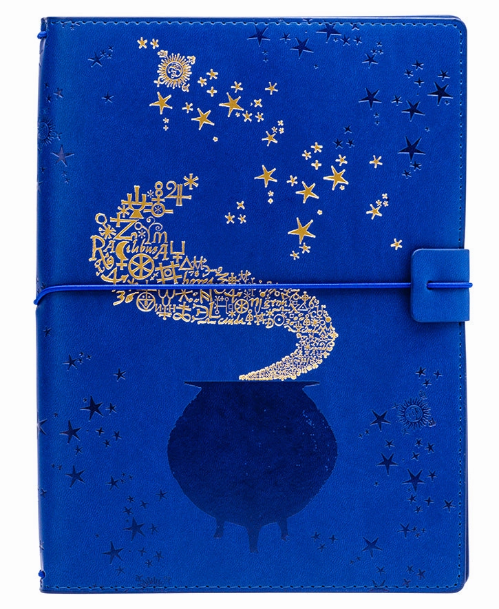 professional Harry Potter: Spells And Potions Traveler'S Notebook Set