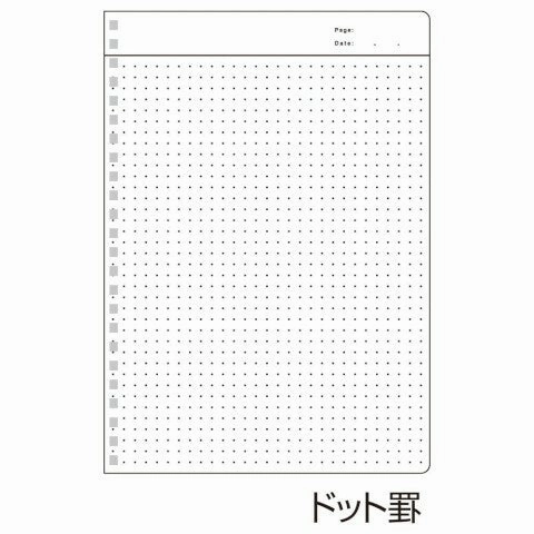 Kyokuto Fob Coop Dot Grid B5 Spiral Notebook giant luxury