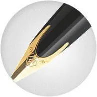 lightweight waterproof Waterman Carene Amber Shimmer Fountain Pen