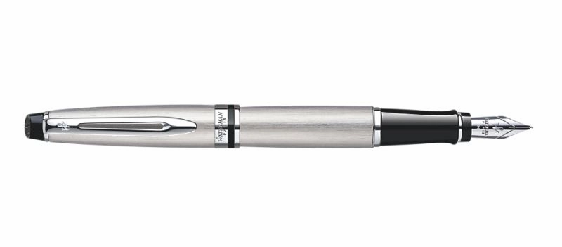 bronze Waterman Expert Stainless Steel Fountain Pen