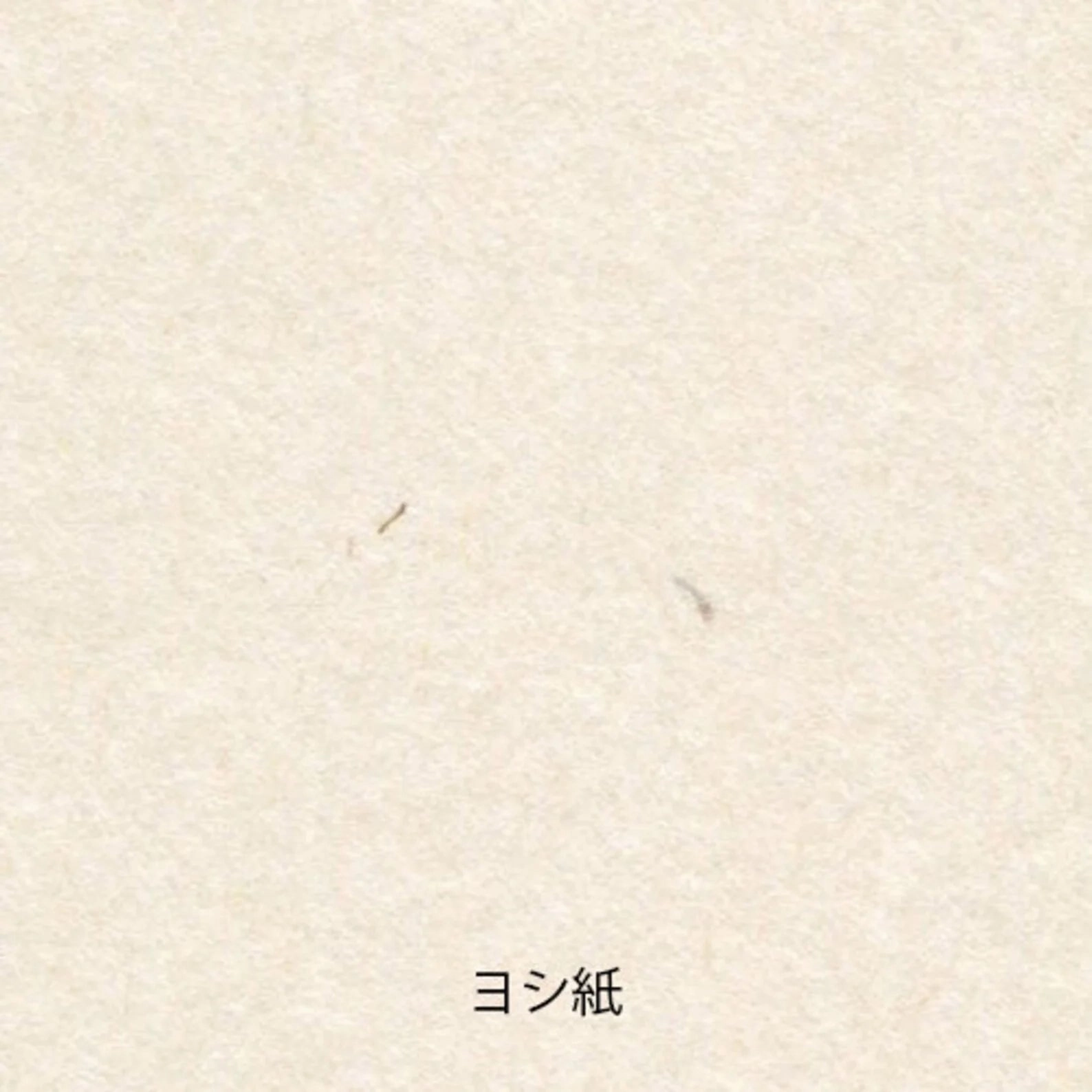 Yamamoto Paper Tasting - Washi Vol.2 antislip rugged
