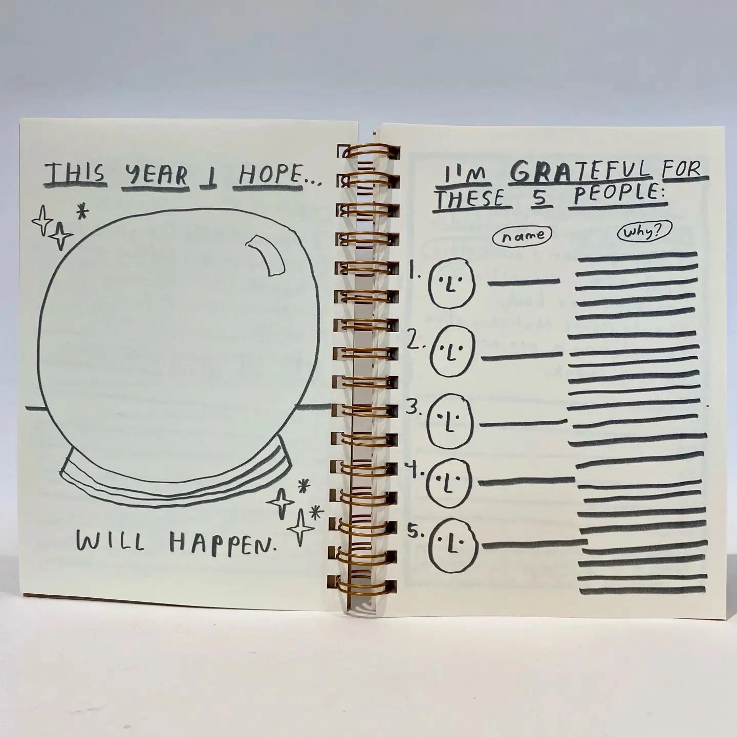 refillable You Don'T Have To Understand 12 Month Planner