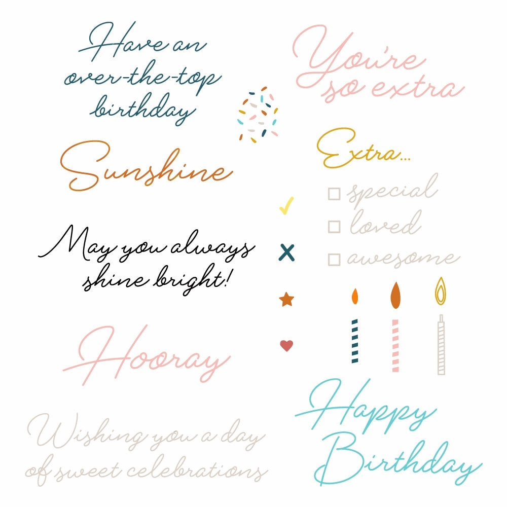 You'Re So Extra - 4X6 Stamp Set seasonal