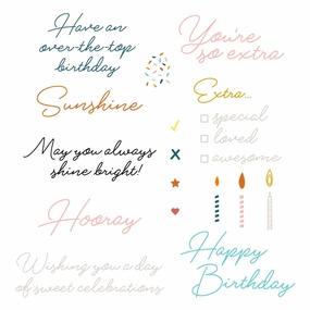 You'Re So Extra - 4X6 Stamp Set seasonal
